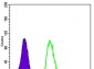 GSTP1 Antibody